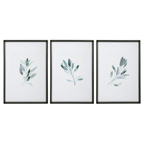 Simple Sage Watercolor Prints - Set of 3