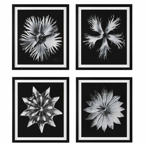 Contemporary Floret Framed Prints - Set of 4