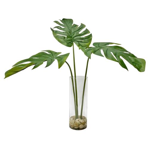 Ibero Split Leaf Palm